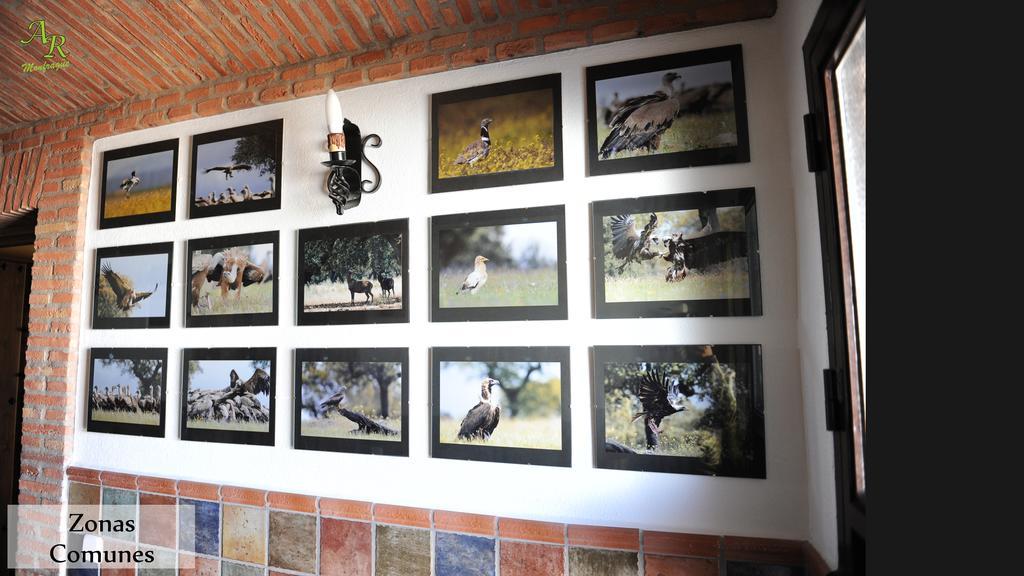 Apartamentos Rurales Monfraguee Torrejón el Rubio Zewnętrze zdjęcie
